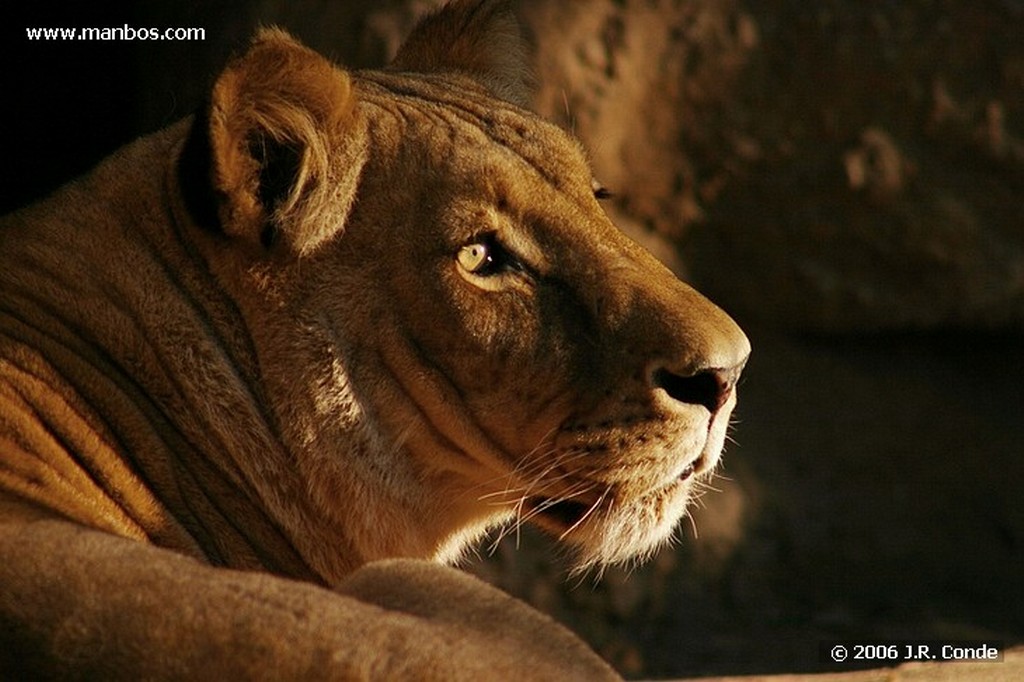 Zoo de Barcelona
Barcelona