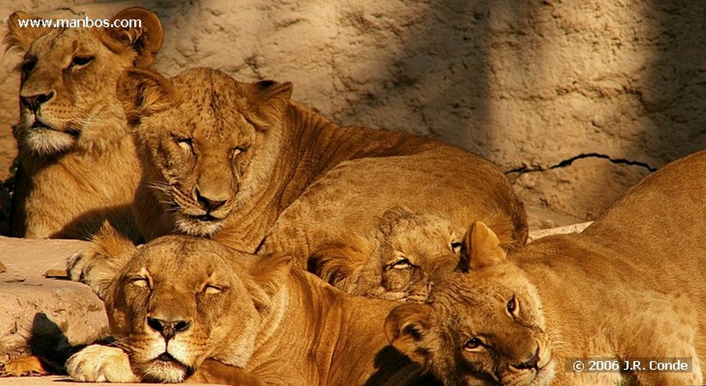 Zoo de Barcelona
Barcelona