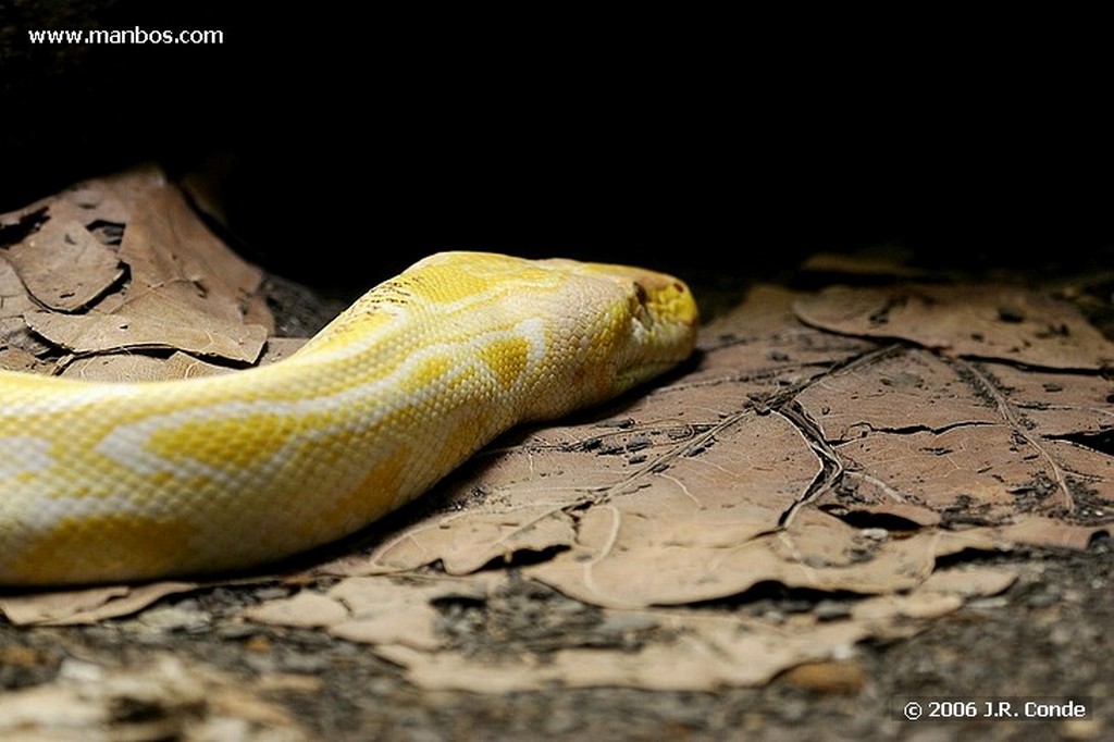 Zoo de Barcelona
Barcelona