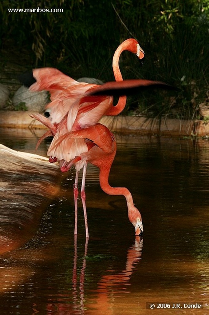 Zoo de Barcelona
Barcelona