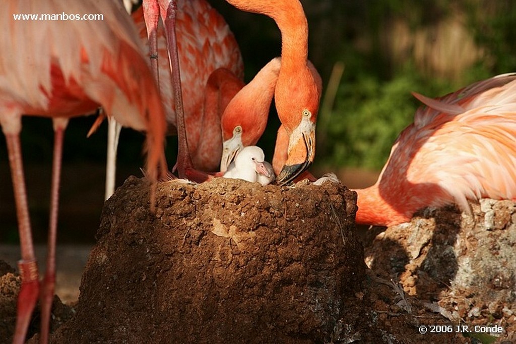 Zoo de Barcelona
Barcelona