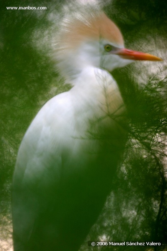 Zoo de Barcelona
AVESTRUZ ALGUN PROBLEMA
Barcelona