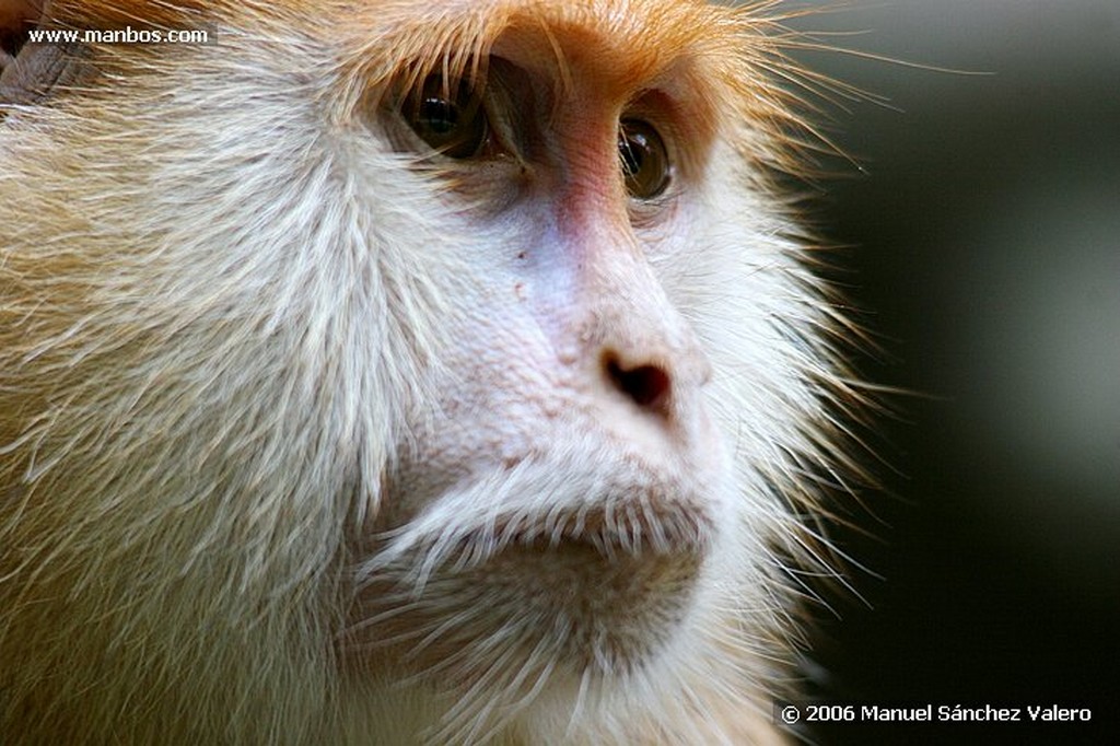 Zoo de Barcelona
AVESTRUZ

Barcelona