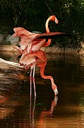 Zoo de Barcelona, Zoo de Barcelona, España