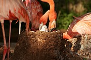 Zoo de Barcelona, Zoo de Barcelona, España