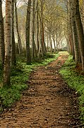 Parque de Cabárceno, Parque de Cabarceno, España