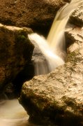 Parque de Cabárceno, Parque de Cabarceno, España