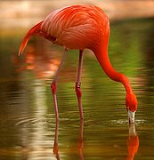 Zoo de Barcelona, Zoo de Barcelona, España