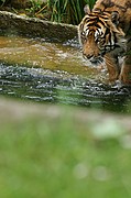 Zoo de Barcelona, Zoo de Barcelona, España