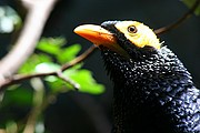 Zoo de Barcelona, Zoo de Barcelona, España