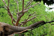 Zoo de Barcelona, Zoo de Barcelona, España