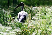 Zoo de Barcelona, Zoo de Barcelona, España