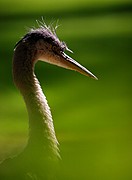 Zoo de Barcelona, Zoo de Barcelona, España