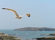 Medina, Essaouira, Marruecos