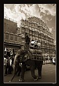 Camara Canon EOS 350D DIGITAL
Elephant at Hawa Mahal
Baciu Cristian
JAIPUR
Foto: 12521