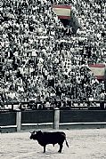 Plaza de Toros de Las Ventas, Madrid, España