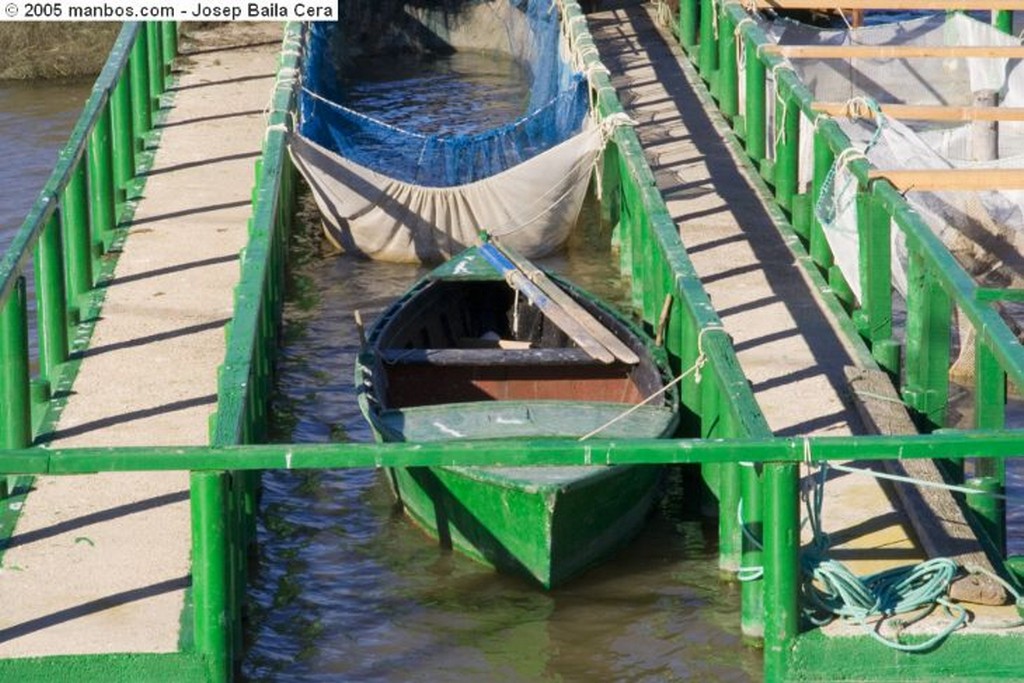 San Carlos de la Rapita
Sal Marina
Tarragona