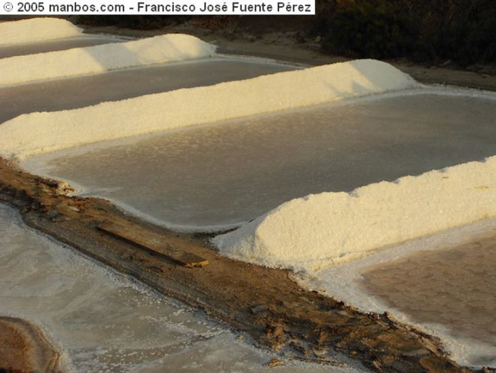 Islantilla
Recogiendo la coquina
Huelva