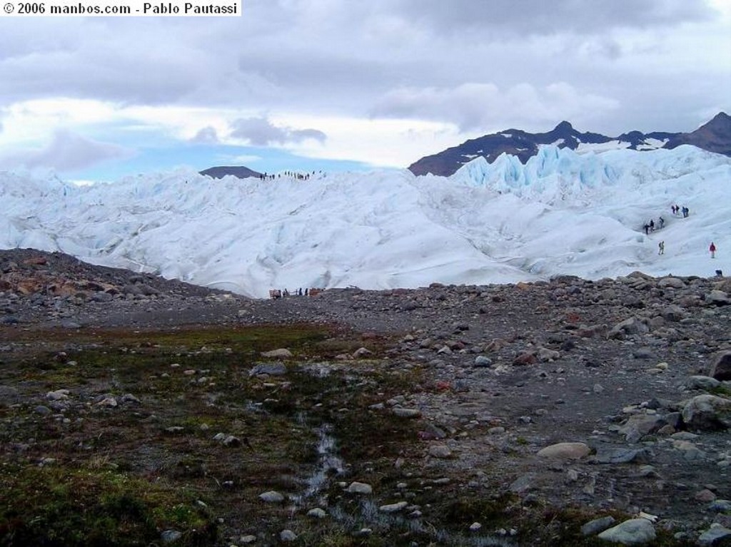 Calafate
LAGO VIEDMA -FRENTE GLACIAR VIEDMA
Calafate