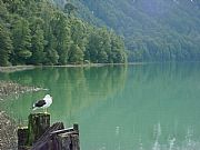 Bariloche, Lago Frias, ARGENTINA