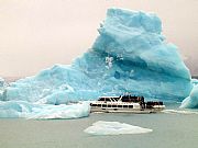 Patagonia, Calafate, Argentina