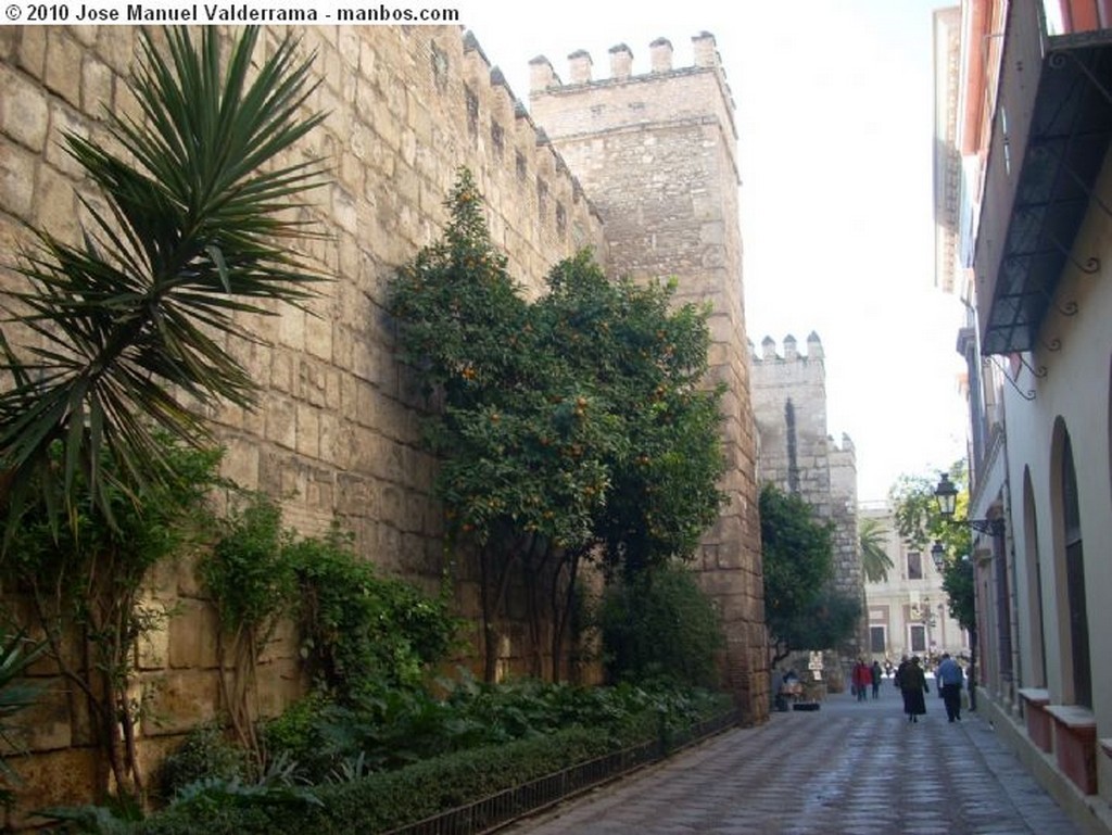 Sevilla
Costurero de la Reina
Sevilla