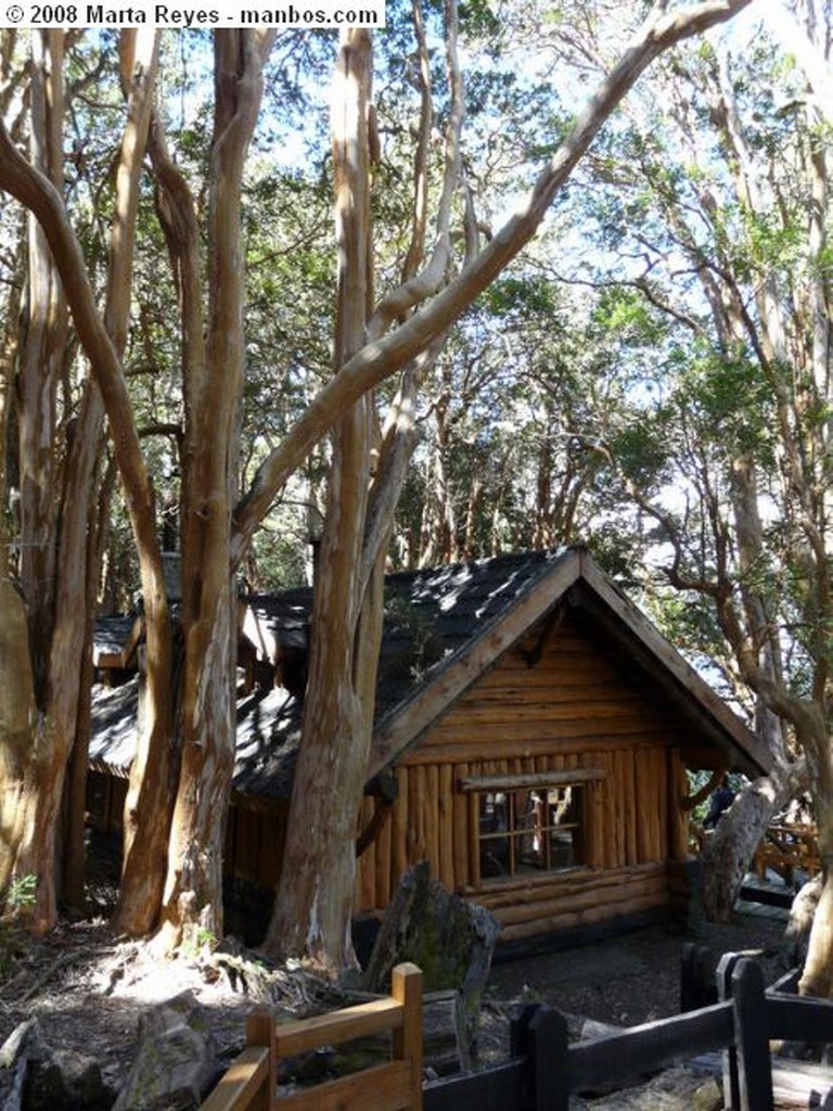 San Carlos de Bariloche
Bosque de Arrayanes y casa de Bambi
Rio Negro