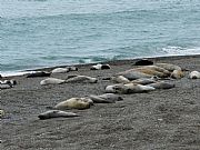 Península Valdes, Caleta Valdes, Argentina