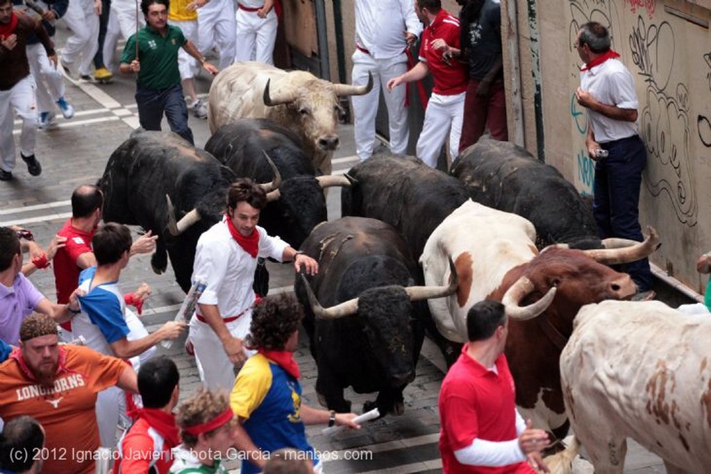 Pamplona
de blanco y rojo
Navarra