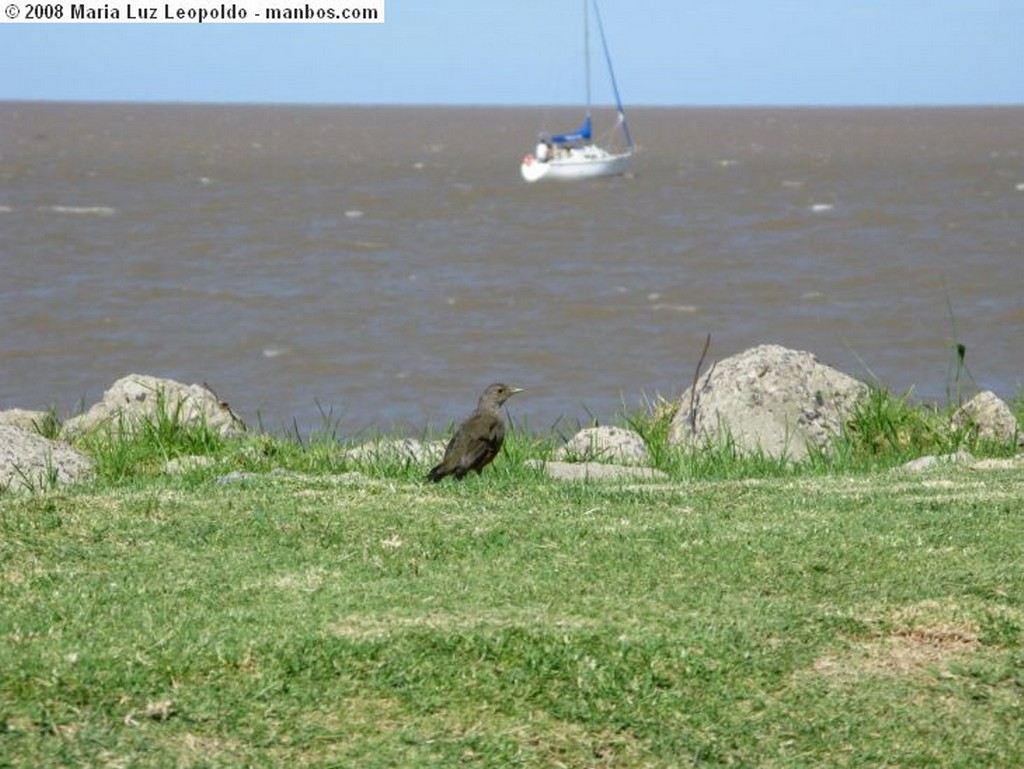 Buenos Aires
Puesta del sol en el Río de la Plata
Buenos Aires