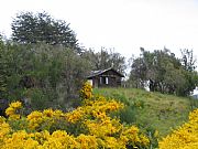 Bariloche, Bariloche, Argentina
