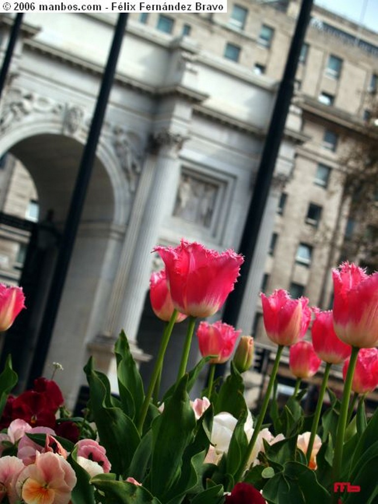 Foto de Londres, Marble Arch, Reino Unido - marble arch