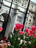 Marble Arch, Londres, Reino Unido