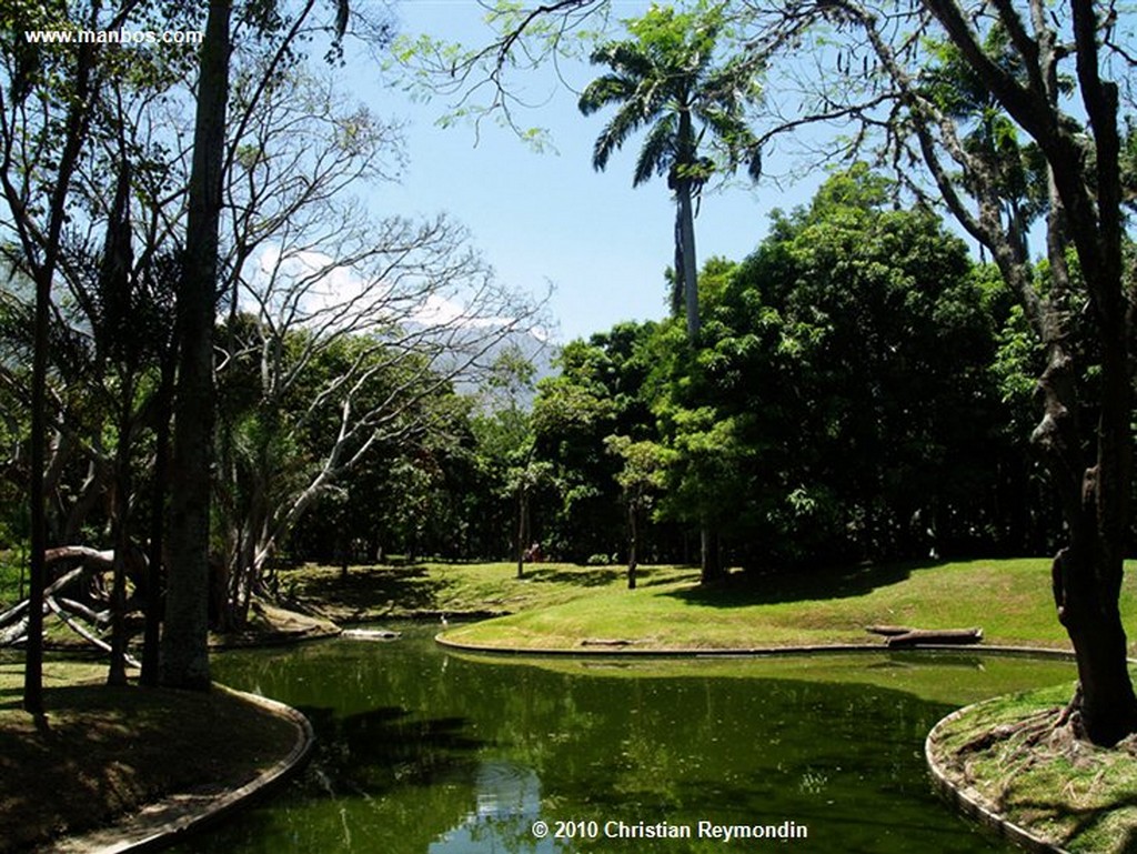 Caracas 
Parque del Este en Caracas 
Miranda 