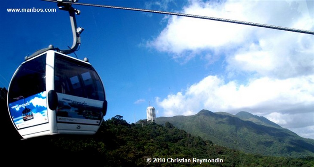 Caracas 
Parque del Este en Caracas 
Miranda 