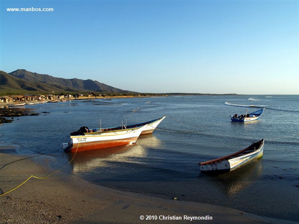 Isla Margarita 
Marg el Tirano 
Nueva Esparta 