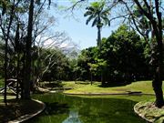 Camara E-500
Parque del Este en Caracas 
Venezuela
CARACAS 
Foto: 19222