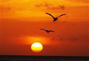 Camara E-500
Atardecer en Los Roques 
Venezuela
EL GRAN ROQUE 
Foto: 19215