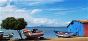 Taguantar , Isla Margarita , Venezuela 