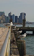 Ellis Island, Nueva York, Estados Unidos