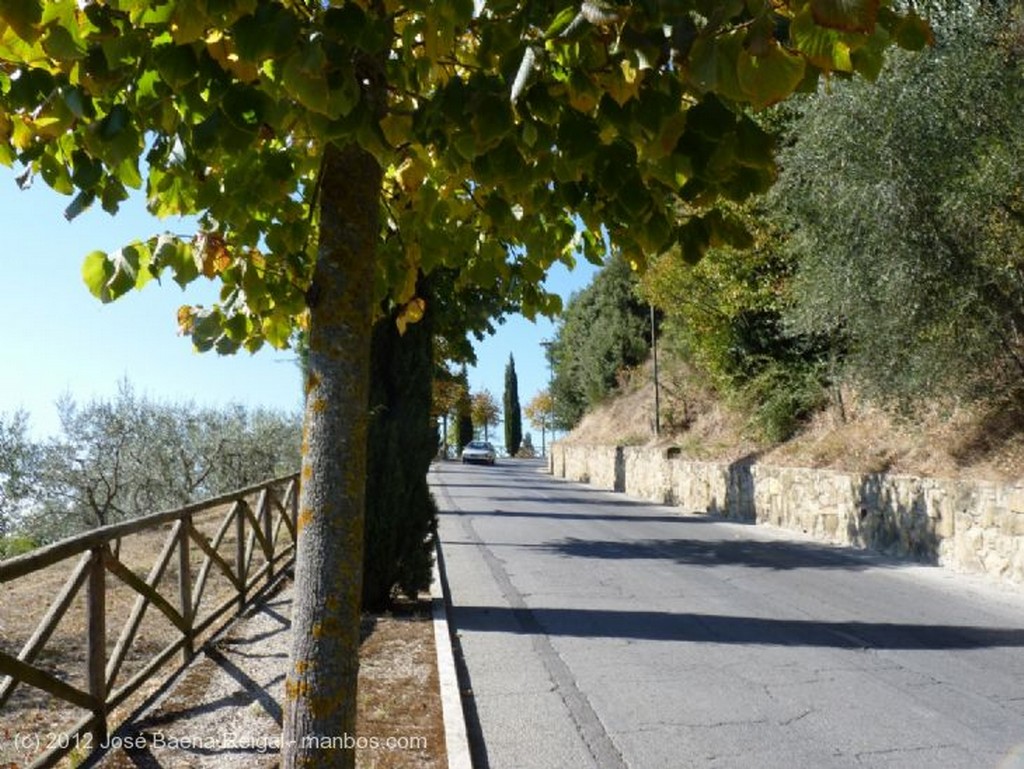 Montepulciano
Calles intemporales
Siena