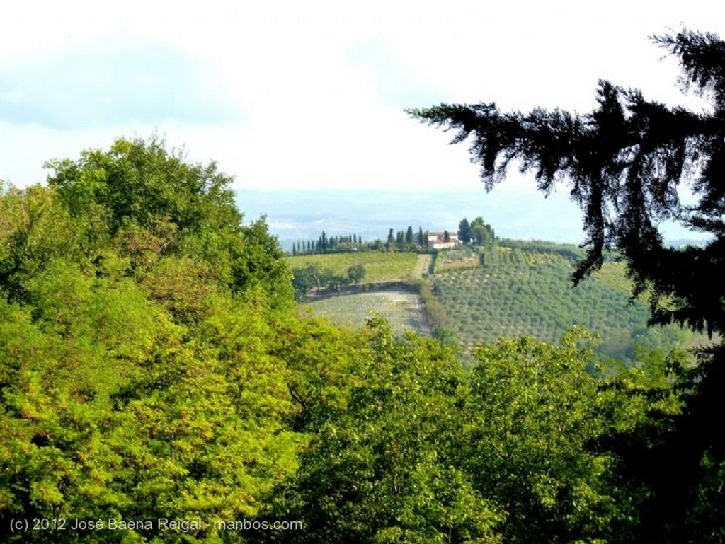 San Gimignano
Horizonte de colinas
Siena