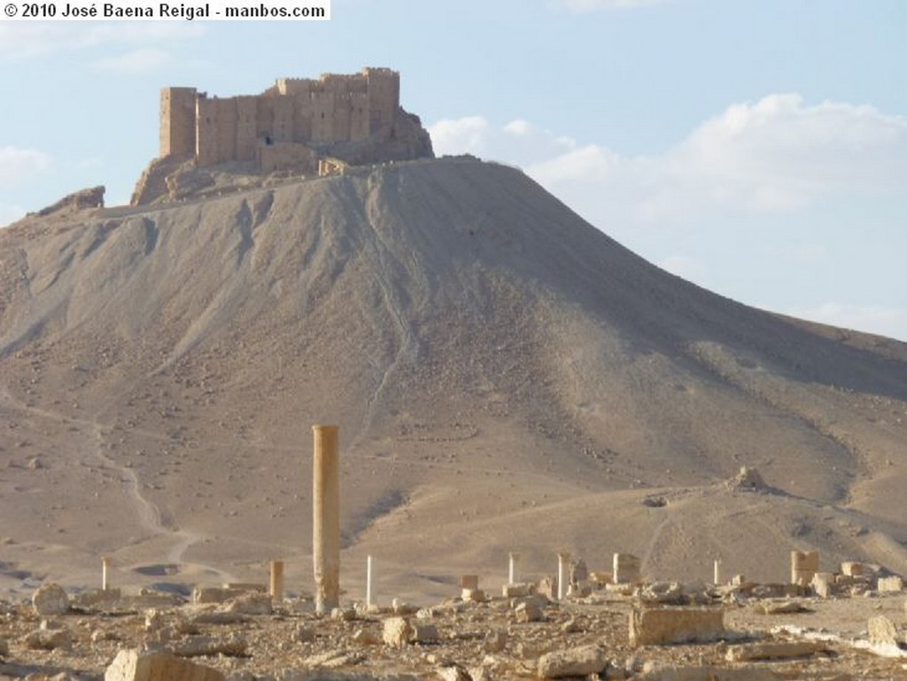 Palmira
Muchacho beduino y su camello
Tadmor