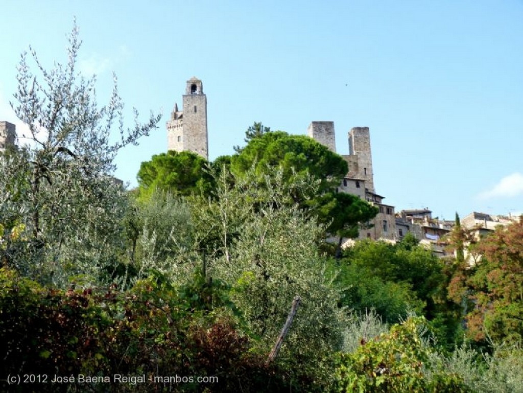 San Gimignano
Panorama idilico
Siena