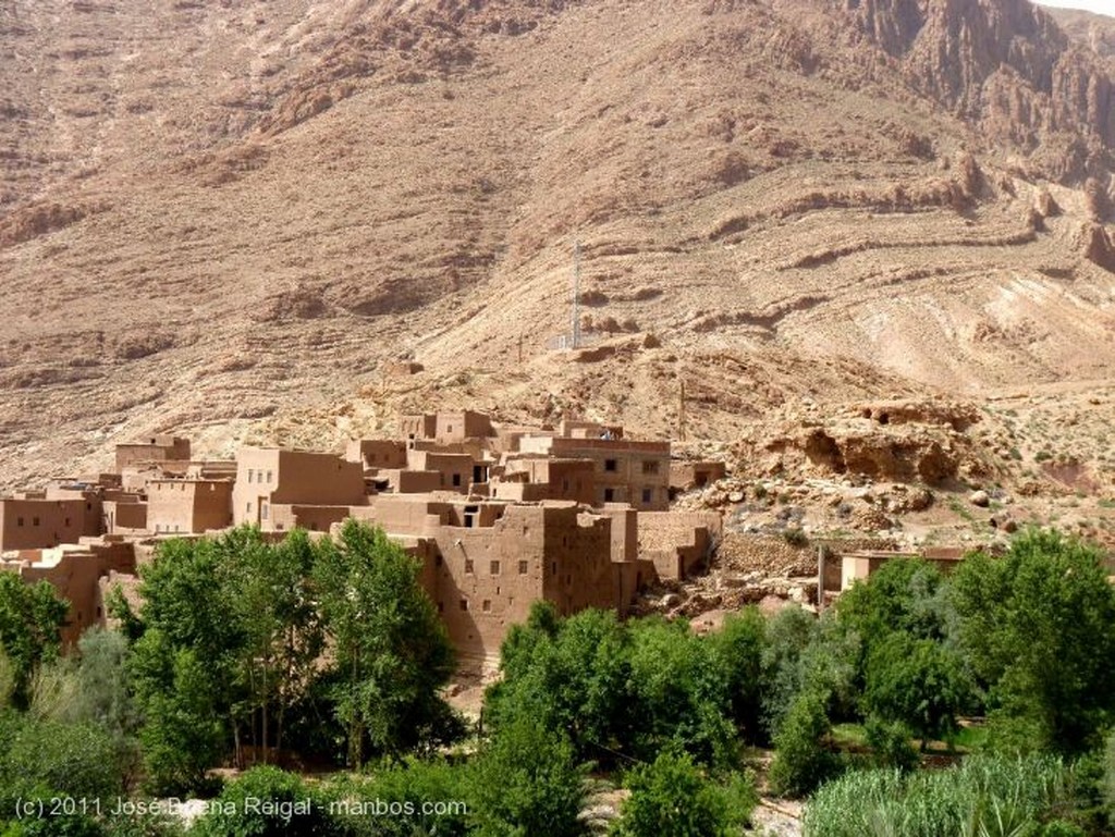 Gargantas del Todra
Casas bereberes
Ouarzazate