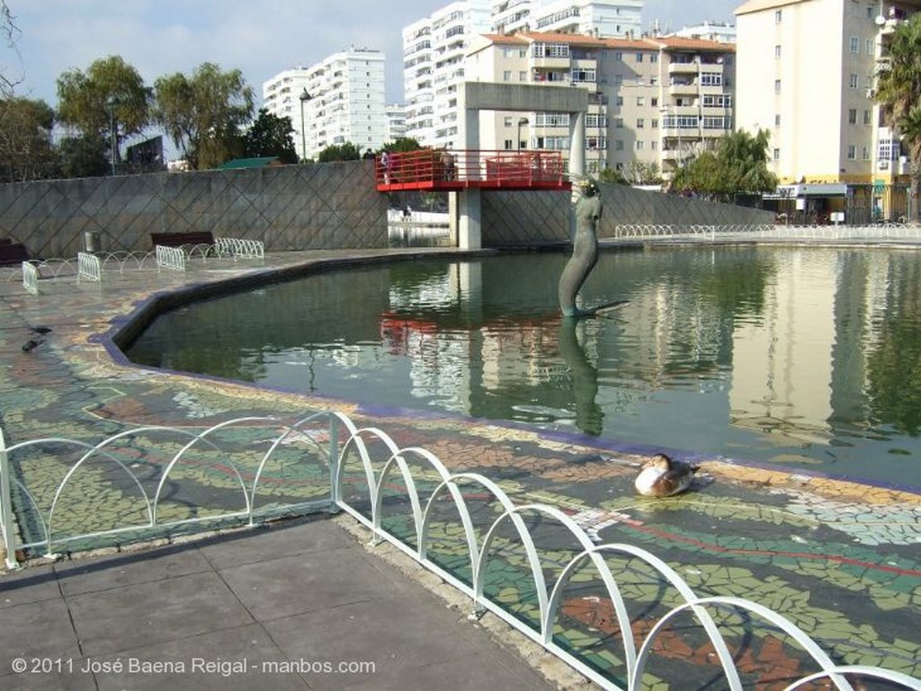 Malaga
Cerdito curioso
Malaga