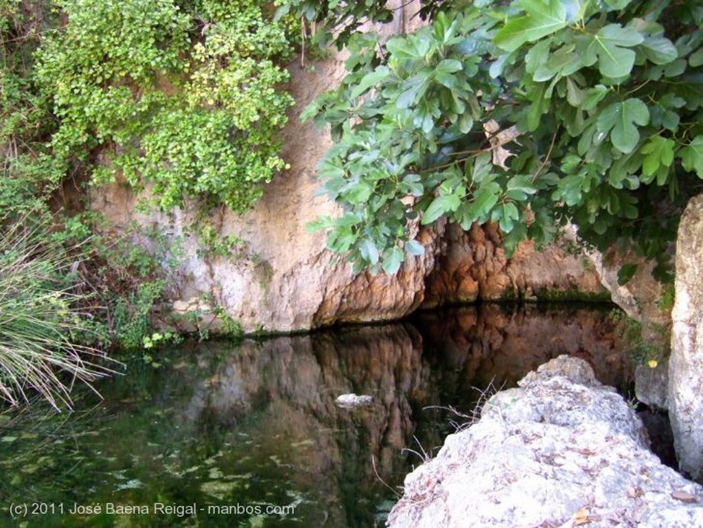 Valle del Genal
Donde brota el Genal
Malaga