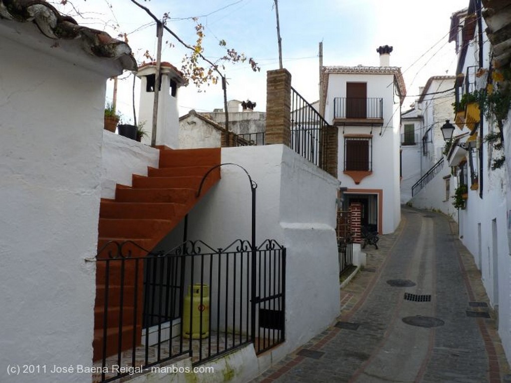 Valle del Genal
Biblioteca Municipal
Malaga