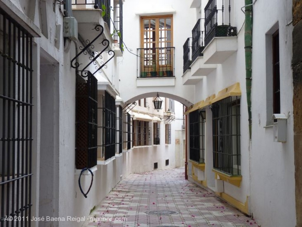 Marbella
Rejas y arco
Malaga