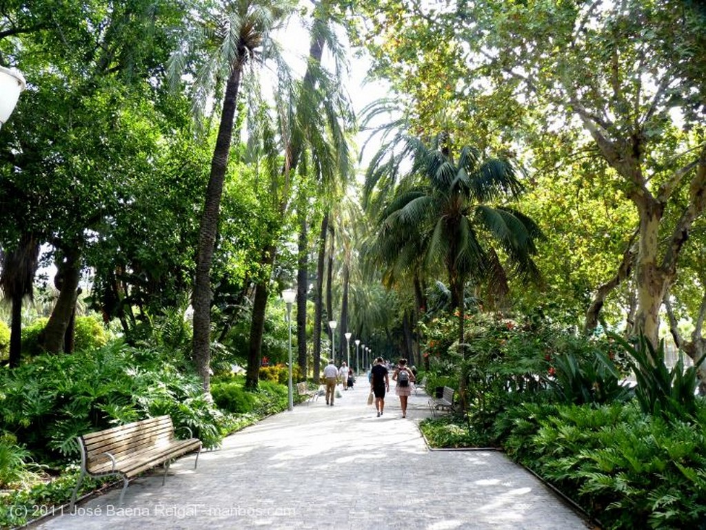 Malaga
Glorieta de los Verdiales
Malaga